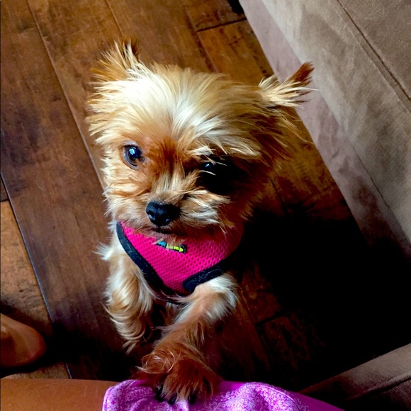 Eco friendly - Picture 1 of 1